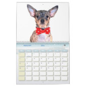 Besessener Kalender der Chihuahua-Störungs-2012 (Feb 2026)