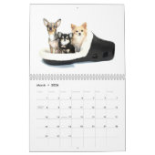 Besessener Kalender der Chihuahua-Störungs-2014 (Mär 2026)