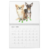 Besessener Kalender der Chihuahua-Störungs-2014 (Mär 2026)