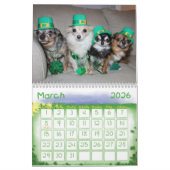 Besessener Kalender der Chihuahua-Störungs-2015 (Mär 2026)