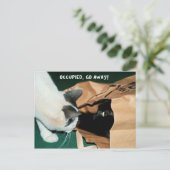 Besetzt, weg! Funny Cats Postkarte (Stehend Vorderseite)