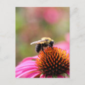 Besetzte Biene Postkarte (Vorderseite)