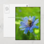 Besetzte Biene Postkarte (Vorne/Hinten)
