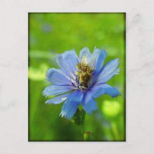 Besetzte Biene Postkarte