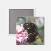 Besetzte Hummeln und rosa Blume Magnet (Vorderseite/Rückseite)