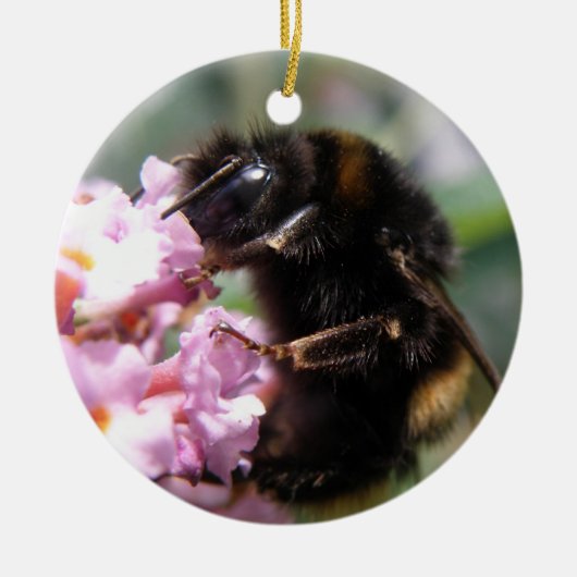 Besetzte Hummeln und rosa Blume Ornament (Vorne)