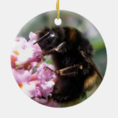 Besetzte Hummeln und rosa Blume Ornament (Hinten)