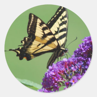 Besetzte Schmetterlingskleber Runder Aufkleber