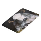 Besetzte Tageskrebse Magnet (Linke Seite)