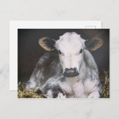 Besetzte Tageskrebse Postkarte (Vorne/Hinten)