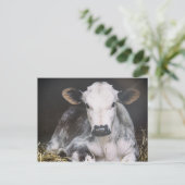 Besetzte Tageskrebse Postkarte (Stehend Vorderseite)