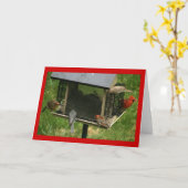 Besetzter Vogelzueder Karte (Gelbe Blume)