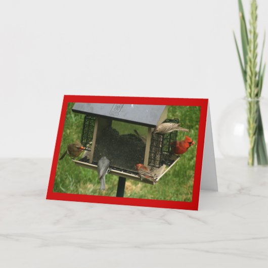 Besetzter Vogelzueder Karte (Vorderseite)