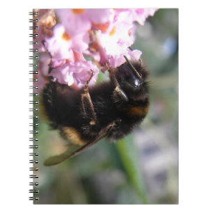 Besetztes Bumblebee- und Pinkl-Blume-Notebook Notizblock