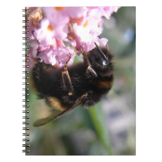 Besetztes Bumblebee- und Pinkl-Blume-Notebook Notizblock (Vorderseite)