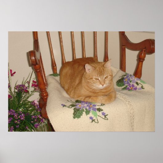besha poster (Vorne)