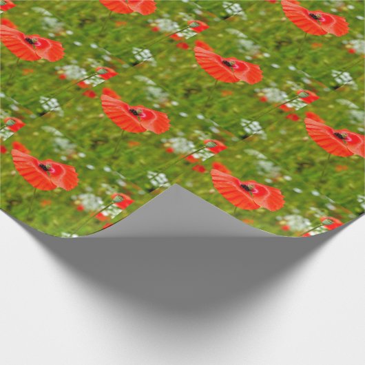 Besiedelung von Mohn Geschenkpapier (Ecke)
