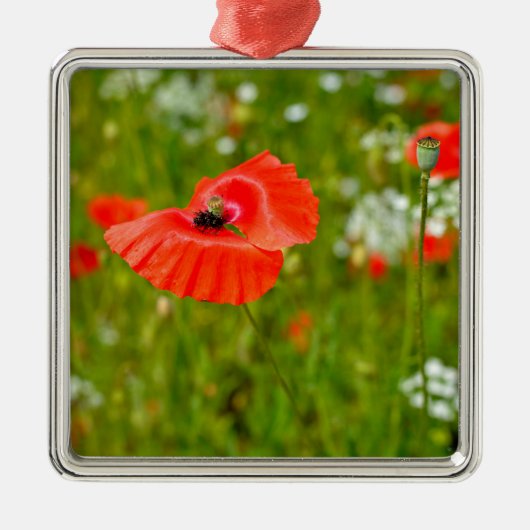Besiedelung von Mohn Ornament Aus Metall (Vorne)