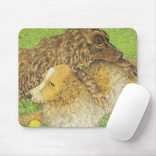 Besitz Mousepad (Mit Mouse)