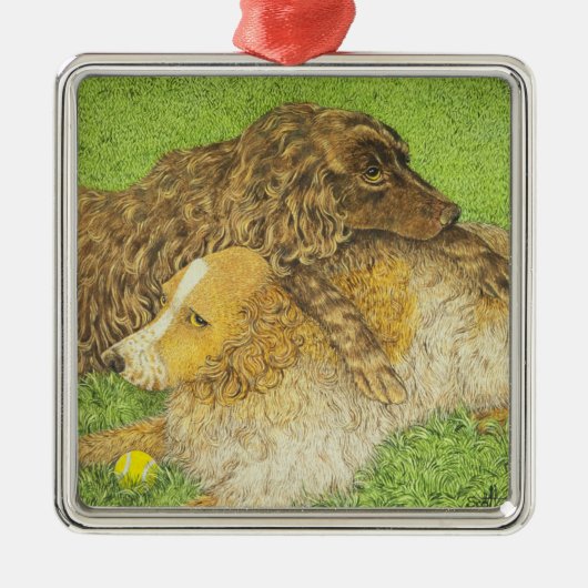 Besitz Silbernes Ornament (Vorne)