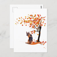 Besitzer des Hundes der deutschen Schäferhunde und