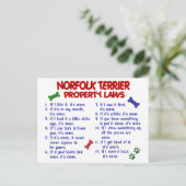 Besitzrechte von NORFOLK TERRIER 2 Postkarte (Stehend Vorderseite)