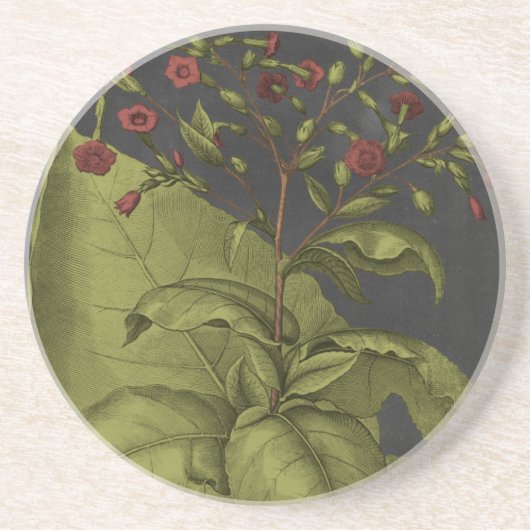 Besler Dramatique I Getränkeuntersetzer (Vorne)