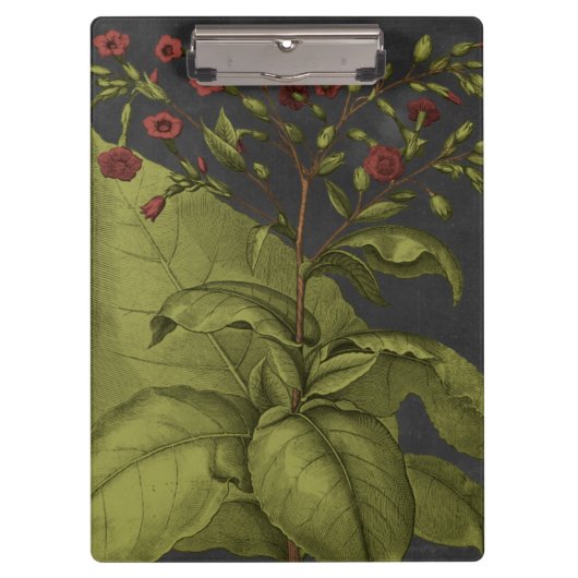 Besler Dramatique I Klemmbrett (Vorderseite)