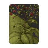 Besler Dramatique I Magnet (Vertikal)