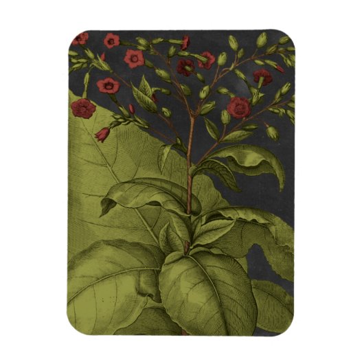 Besler Dramatique I Magnet (Vertikal)