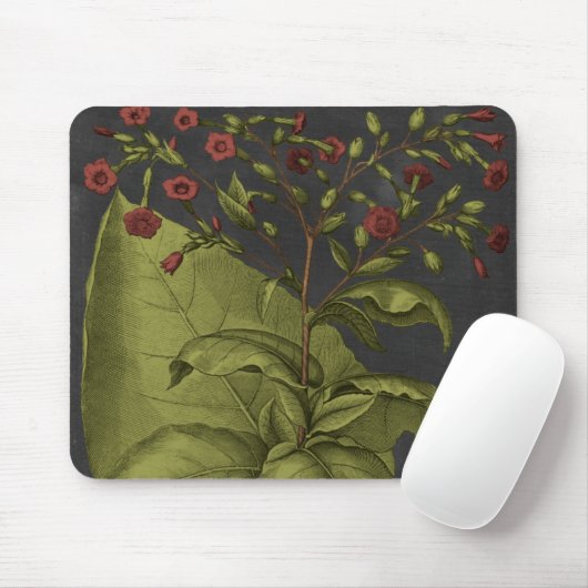 Besler Dramatique I Mousepad (Mit Mouse)
