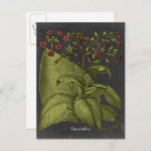 Besler Dramatique I Postkarte (Vorne/Hinten)