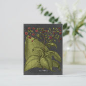 Besler Dramatique I Postkarte (Stehend Vorderseite)