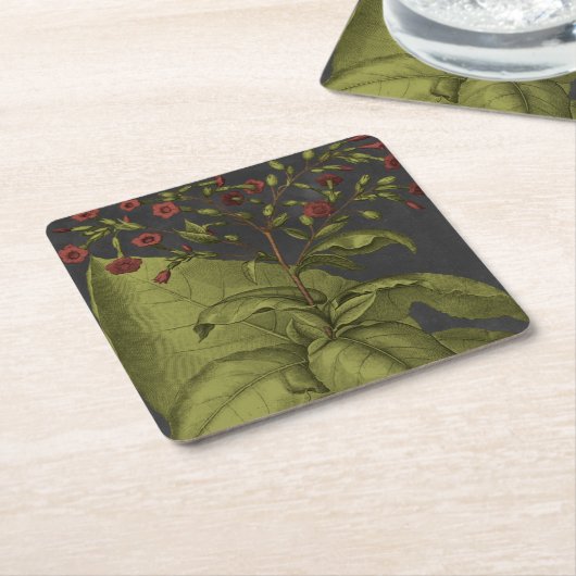 Besler Dramatique I Rechteckiger Pappuntersetzer (angewinkelt)