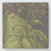 Besler Dramatique I Steinuntersetzer (Vorderseite)