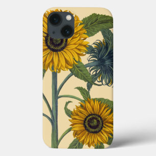 Besler: Sonnenblume Case-Mate iPhone Hülle