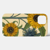 Besler: Sonnenblume Case-Mate iPhone Hülle (Rückseite (Horizontal))