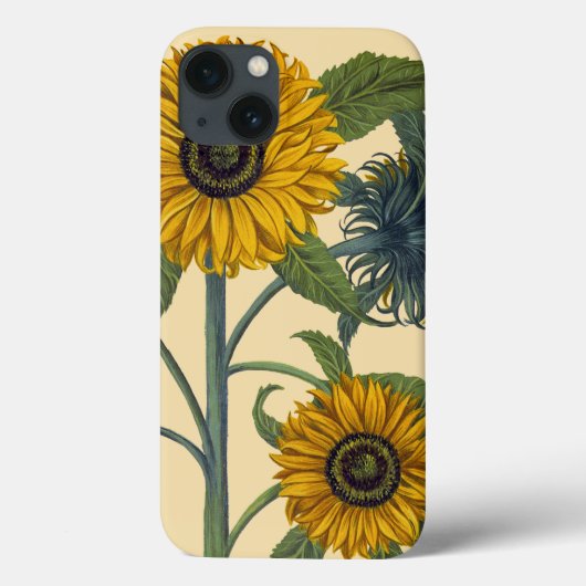Besler: Sonnenblume Case-Mate iPhone Hülle (Rückseite)