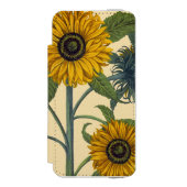 Besler: Sonnenblume Incipio iPhone Geldbeutel-Hülle (Folio Vorderseite)
