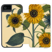 Besler: Sonnenblume Incipio iPhone Geldbeutel-Hülle (Folio Geöffnet)