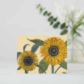 Besler: Sonnenblume Postkarte (Stehend Vorderseite)