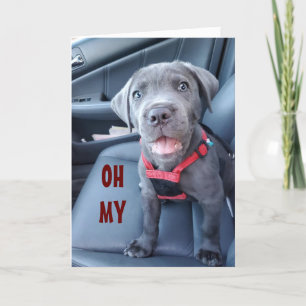 BESONDERE 50. GEBURTSTAG WÜNSCHT SICH AUS EINER SP KARTE