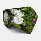 Besondere Anlass Krawatte (Gerollt)