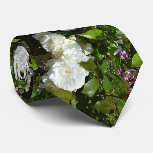 Besondere Anlass Krawatte (Gerollt)