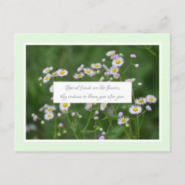 Besondere Freundschaft Postkarte