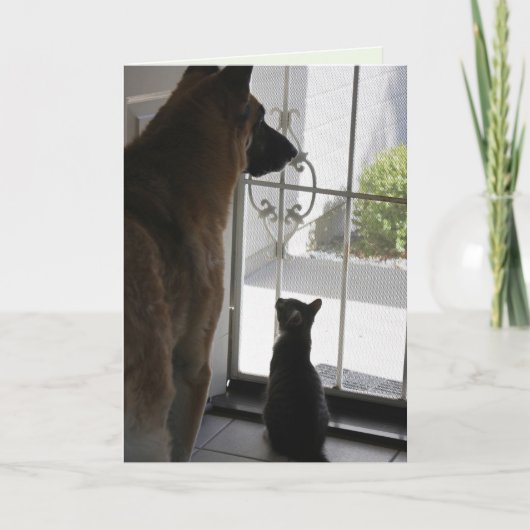 Besondere Kleinigkeiten Geburtstagskarte Karte (Vorderseite)