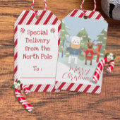 Besondere Liefermarken für Polarbären und Rentiere Geschenkanhänger