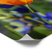 Besondere Poster (Ecke)