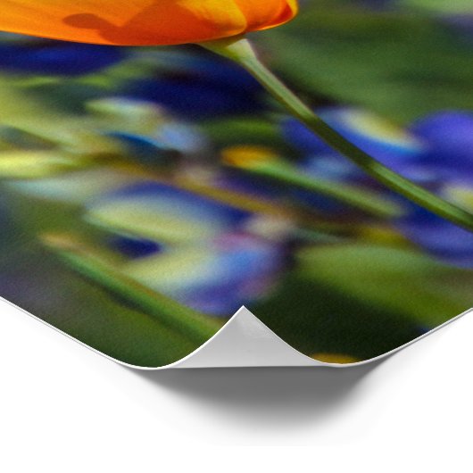 Besondere Poster (Ecke)