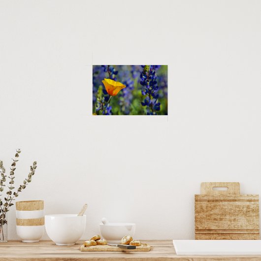 Besondere Poster (Küche)